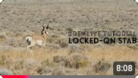 ../../_images/arkengheist-locked-on_stabilization.webp