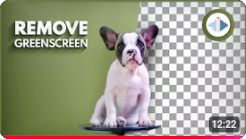 ../../_images/nuxttux-remove_green_screen.webp
