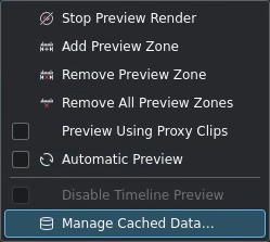 manage_cached_data.webp