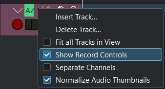../_images/kdenlive2405_show-record-controls.webp